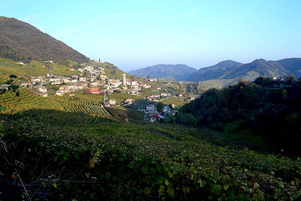 Prosecco winery tour 